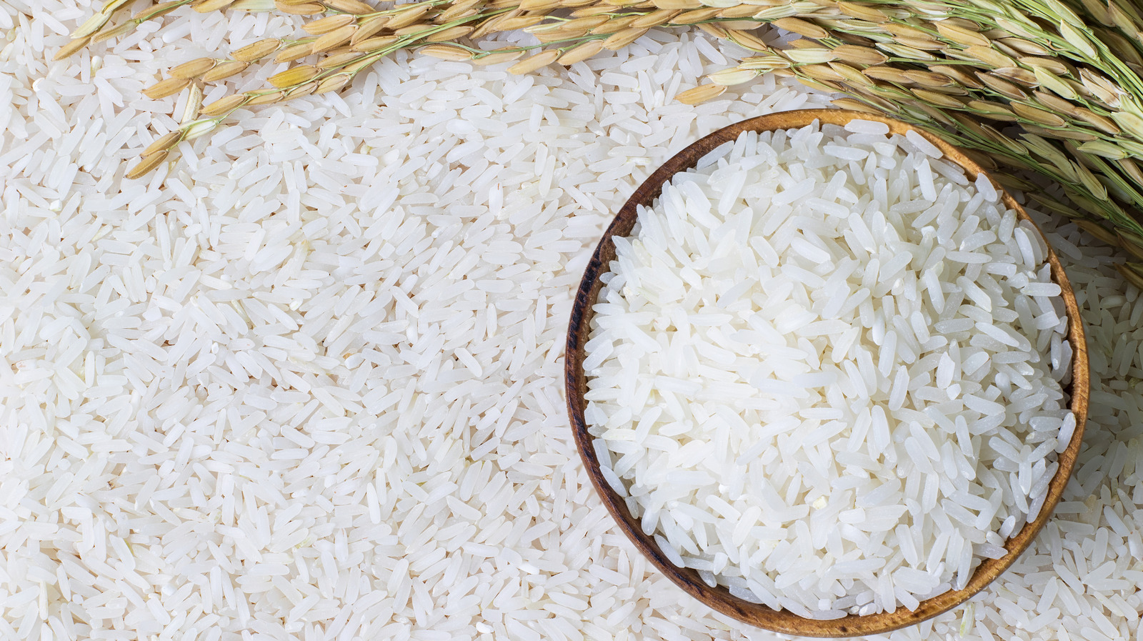 Rice